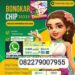 Agen Domino BNI Terpercaya untuk Anda