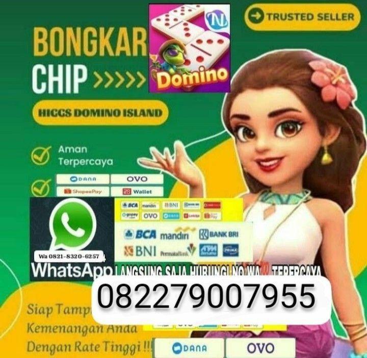 Agen Domino BNI Terpercaya untuk Anda