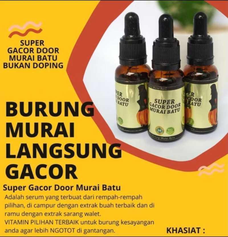 Agen Gacor Bagus: Rekomendasi Pilihan Terbaik untuk Anda