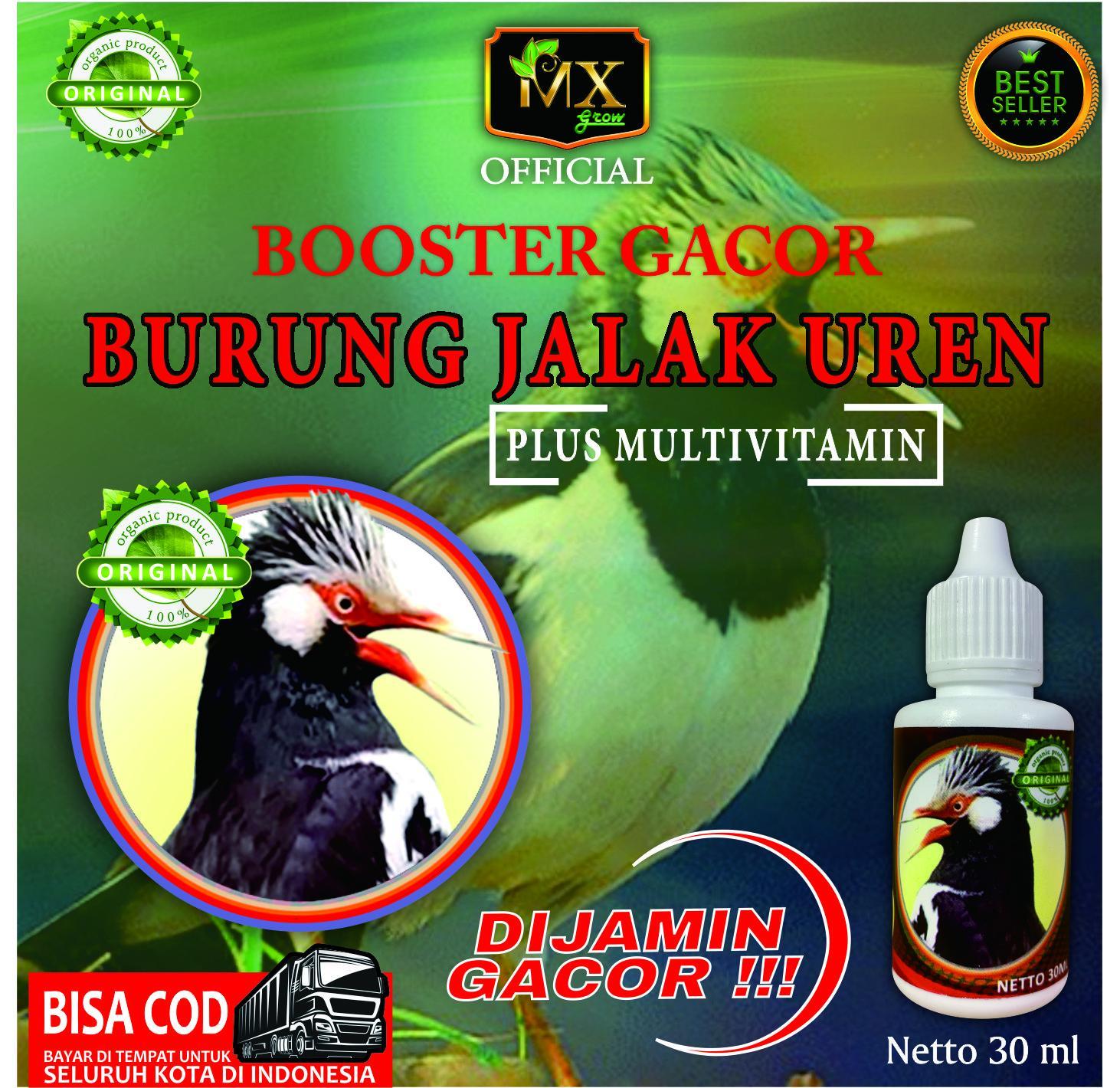 Jaminan Gacor Terjamin Untuk Burung Kesayangan Anda