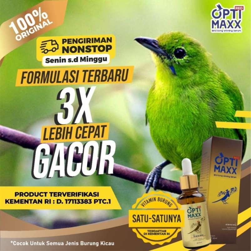 Jaminan Gacor Terjamin Untuk Burung Kesayangan Anda